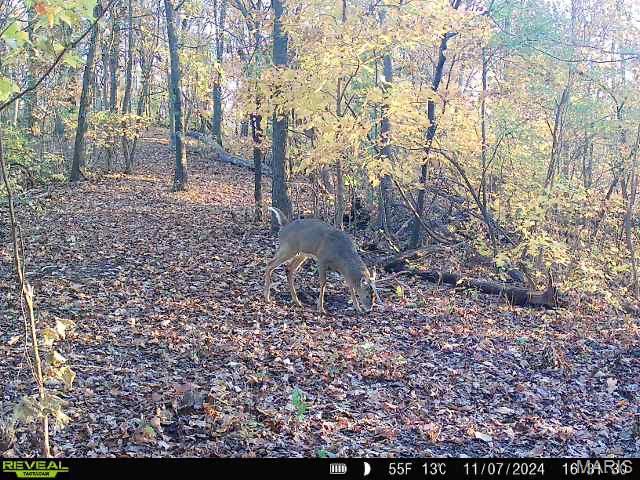 0 Salt Spring Hollow Hardin, IL 62047 - Photo 68 of 68 Gallery Image 68