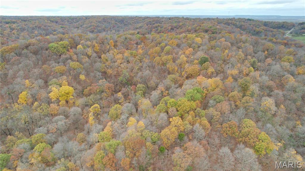 0 Salt Spring Hollow Hardin, IL 62047 - Photo 10 of 68 Gallery Image 10