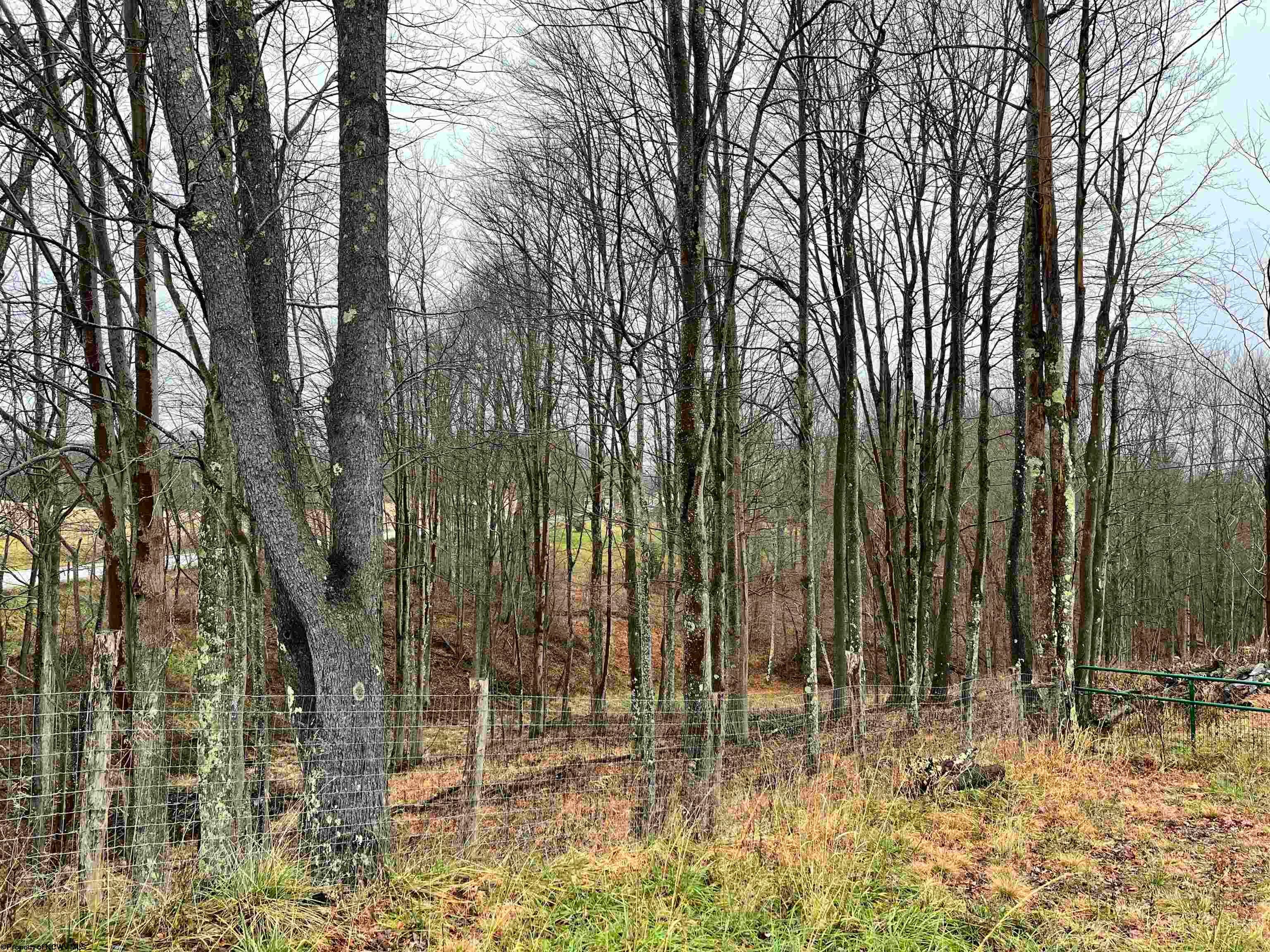 9179 Alexander Road French Creek, WV 26218 - Photo 30 of 50 Gallery Image 30