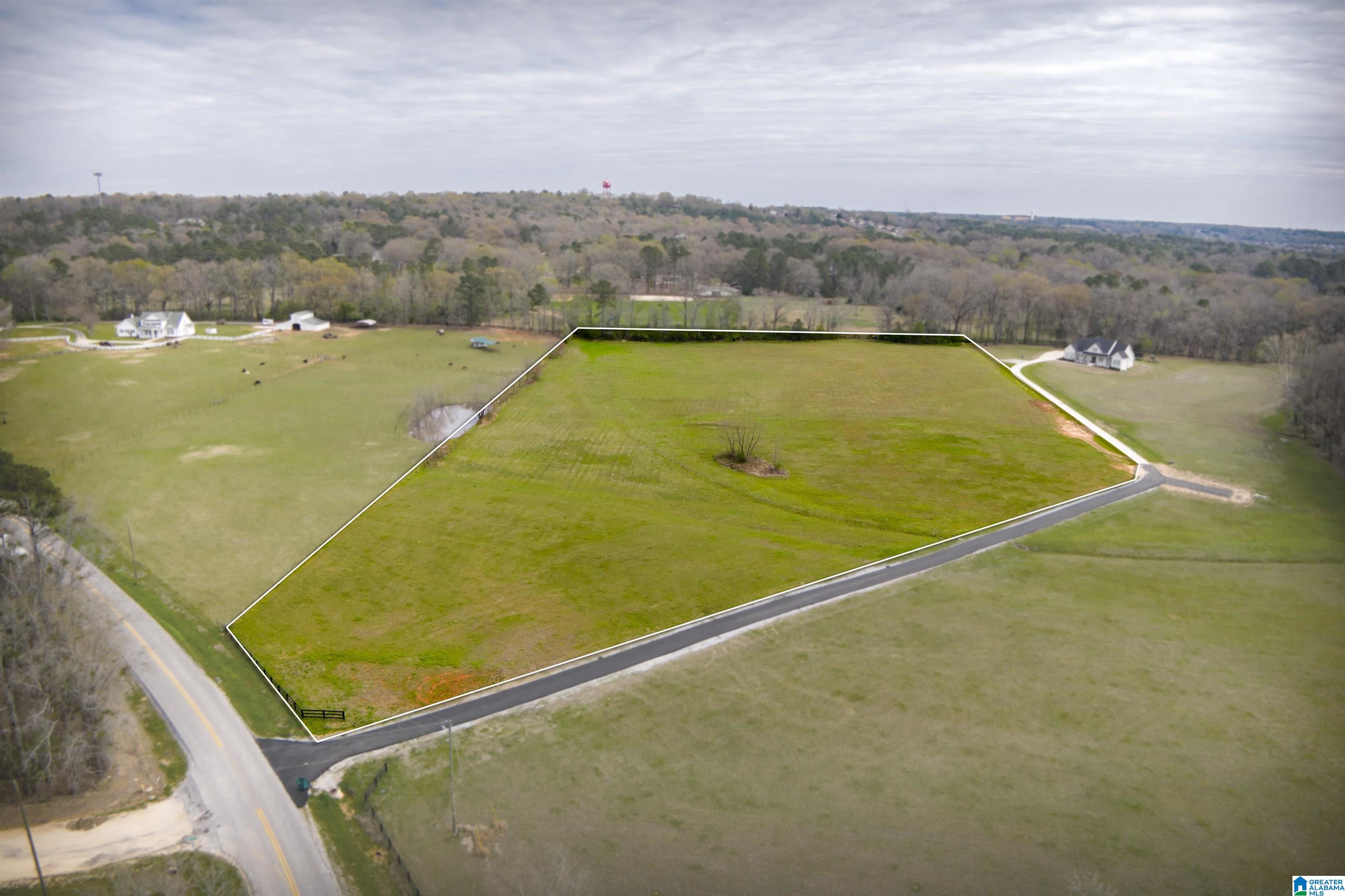 850 County Road 24, Unit 1B Montevallo, AL 35115 - Photo 2 of 24
