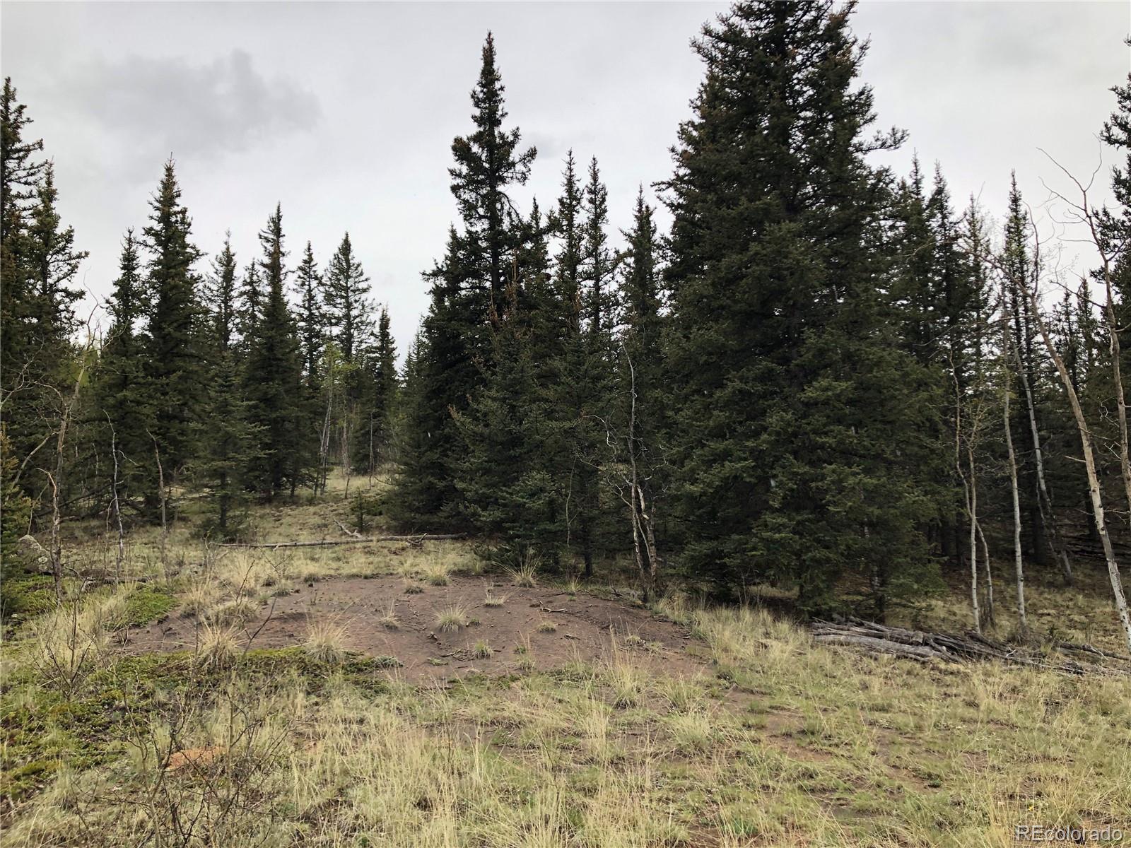500 Swiggler Road Jefferson, CO 80456 - Photo 8 of 27 Gallery Image 8