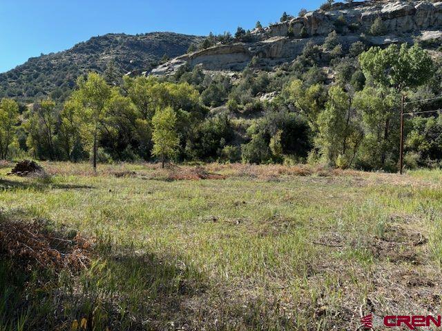718 Estates Circle Road Pagosa Springs, CO 81147 - Photo 11 of 13 a view of a yard with a tree