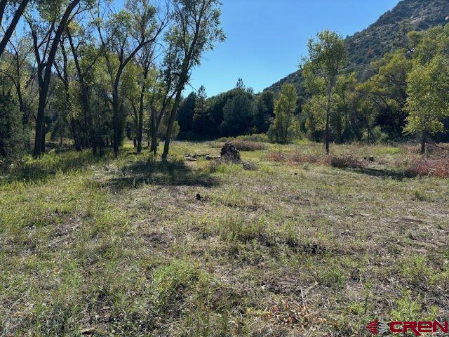 718 Estates Circle Road Pagosa Springs, CO 81147 - Photo 12 of 13 a view of a forest with trees in the background