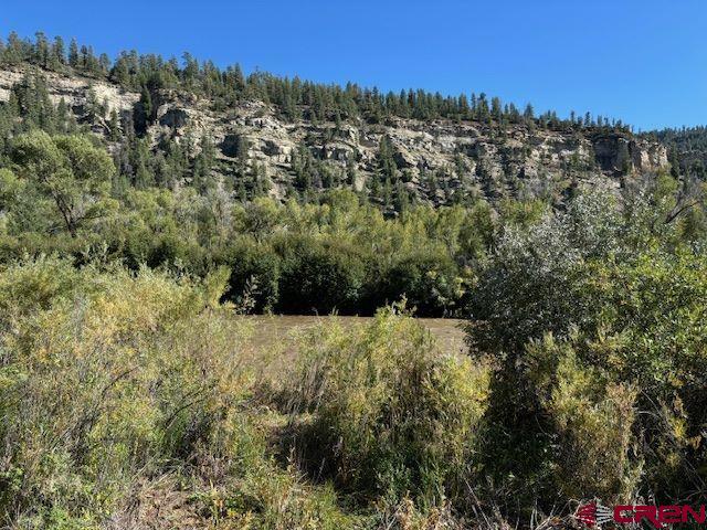 718 Estates Circle Road Pagosa Springs, CO 81147 - Photo 3 of 13 a view of a bunch of trees and bushes