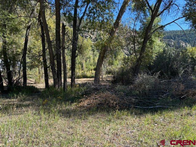 718 Estates Circle Road Pagosa Springs, CO 81147 - Photo 4 of 13 a view of backyard with green space