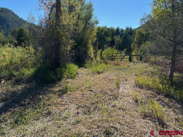718 Estates Circle Road Pagosa Springs, CO 81147 - Photo 5 of 13 a view of outdoor space with trees all around