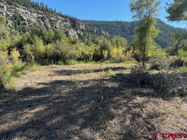 718 Estates Circle Road Pagosa Springs, CO 81147 - Photo 7 of 13 a view of dirt yard with mountain view