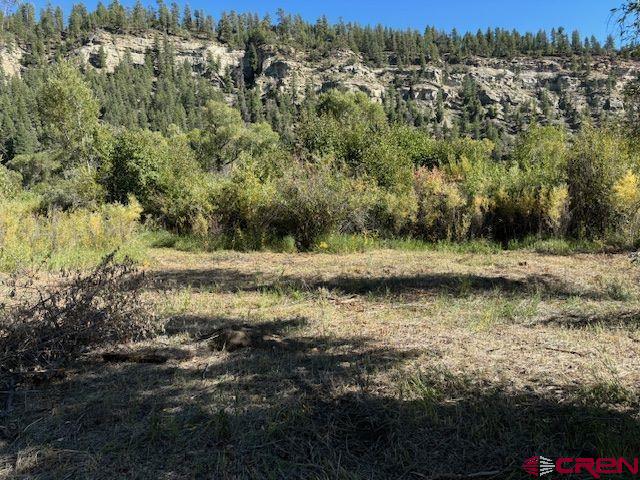 718 Estates Circle Road Pagosa Springs, CO 81147 - Photo 9 of 13 a view of a lake with houses