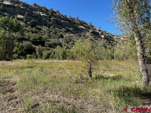 718 Estates Circle Road Pagosa Springs, CO 81147 - Photo 10 of 13