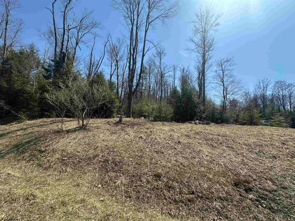 $44,000 | Lot 195 Florence, Davis, WV 26260