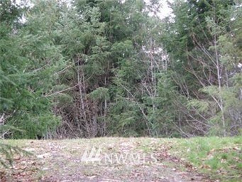 279 Fallert Road Kalama, WA 98625 - Photo 1 of 1 Gallery Image 1
