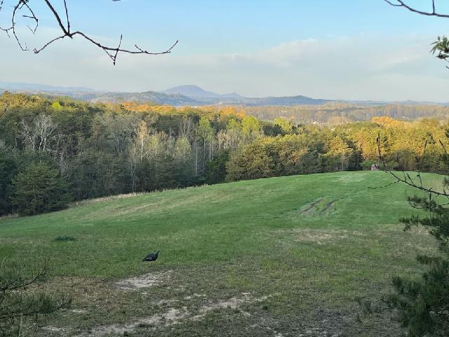 Sandy Ridge Road Dandridge, TN 37725 - Photo 1 of 21 Sandy Ridge
