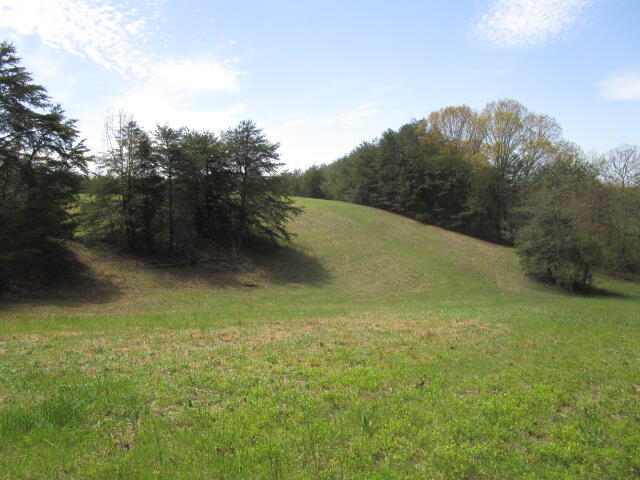 Sandy Ridge Road Dandridge, TN 37725 - Photo 11 of 21 IMG_2908