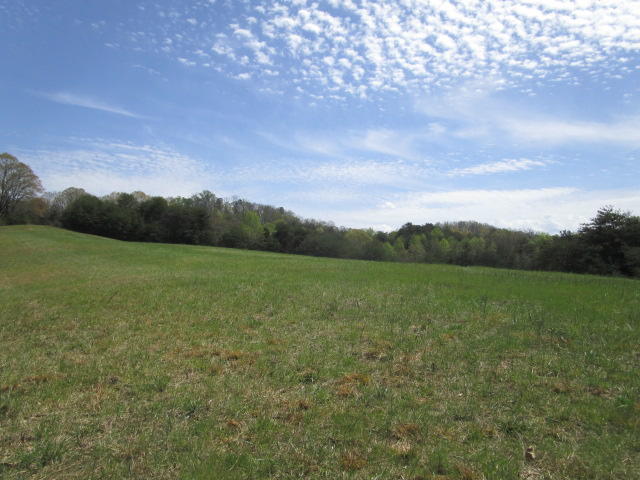 Sandy Ridge Road Dandridge, TN 37725 - Photo 12 of 21 IMG_2909