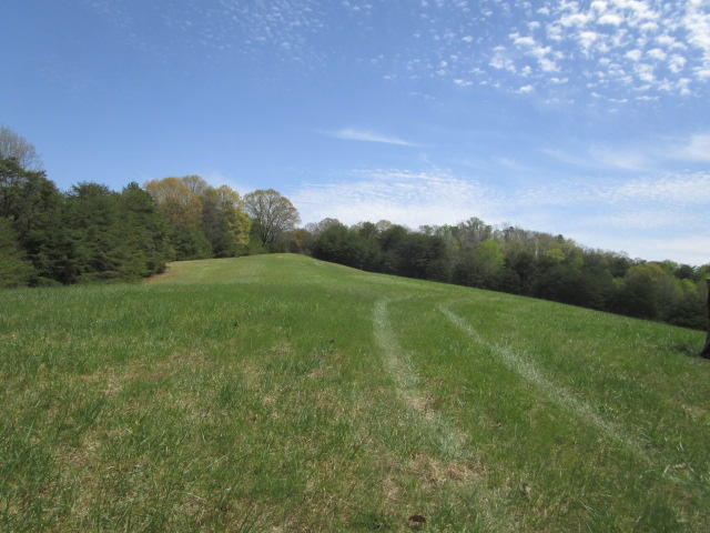 Sandy Ridge Road Dandridge, TN 37725 - Photo 13 of 21 IMG_2910