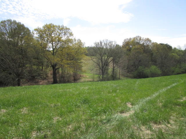 Sandy Ridge Road Dandridge, TN 37725 - Photo 16 of 21 IMG_2913