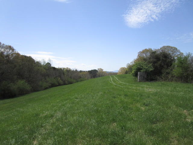 Sandy Ridge Road Dandridge, TN 37725 - Photo 17 of 21 IMG_2914