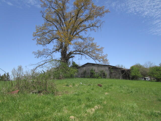 Sandy Ridge Road Dandridge, TN 37725 - Photo 18 of 21 IMG_2915