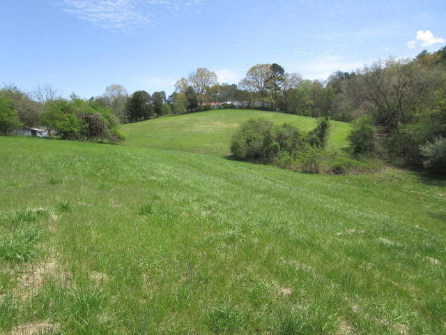 Sandy Ridge Road Dandridge, TN 37725 - Photo 19 of 21 IMG_2916