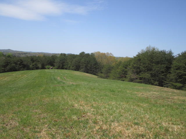 Sandy Ridge Road Dandridge, TN 37725 - Photo 3 of 21 IMG_2901