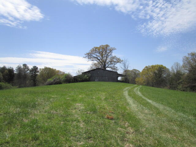 Sandy Ridge Road Dandridge, TN 37725 - Photo 21 of 21 IMG_2918