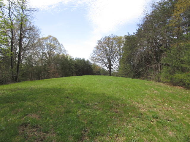Sandy Ridge Road Dandridge, TN 37725 - Photo 4 of 21 IMG_2902
