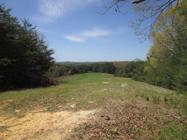 Sandy Ridge Road Dandridge, TN 37725 - Photo 5 of 21 IMG_2903
