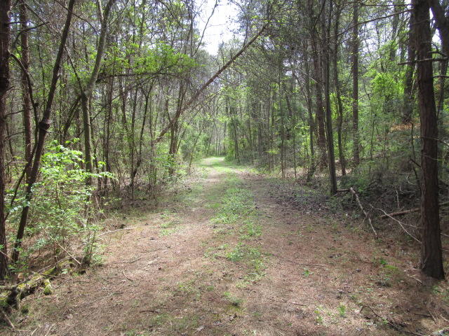 Sandy Ridge Road Dandridge, TN 37725 - Photo 6 of 21 IMG_2912