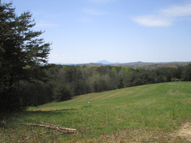 Sandy Ridge Road Dandridge, TN 37725 - Photo 7 of 21 IMG_2904