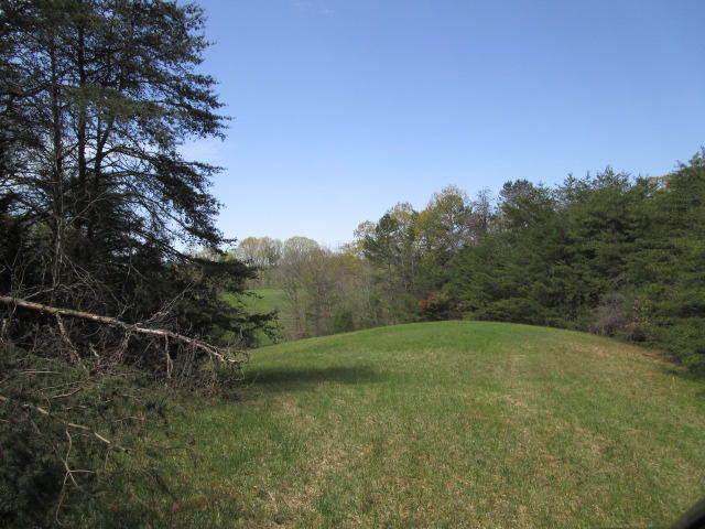Sandy Ridge Road Dandridge, TN 37725 - Photo 10 of 21 IMG_2907