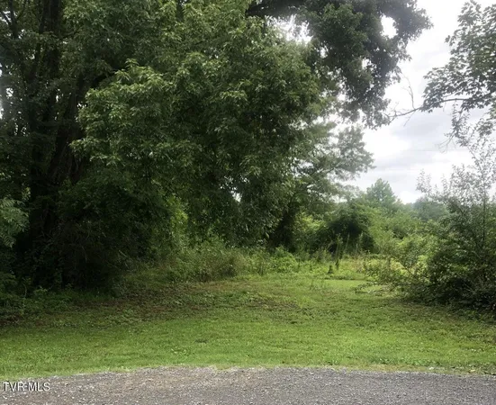 $15,000 | Tbd South Hamblen Street South, Unit D, Big Stone Gap, VA 24219
