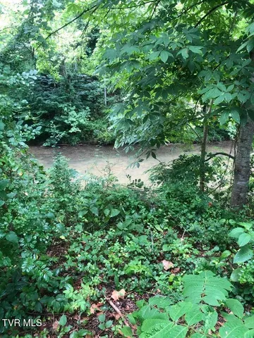 $15,000 | Tbd South Hamblen Street South, Unit D, Big Stone Gap, VA 24219