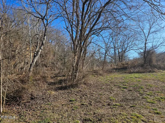 $15,000 | Tbd South Hamblen Street South, Unit D, Big Stone Gap, VA 24219