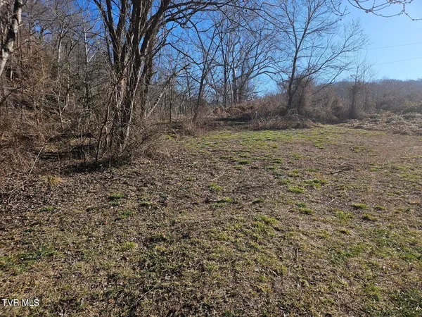 $15,000 | Tbd South Hamblen Street South, Unit D, Big Stone Gap, VA 24219
