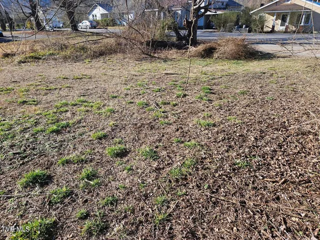 $15,000 | Tbd South Hamblen Street South, Unit D, Big Stone Gap, VA 24219