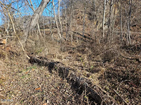 $15,000 | Tbd South Hamblen Street South, Unit D, Big Stone Gap, VA 24219