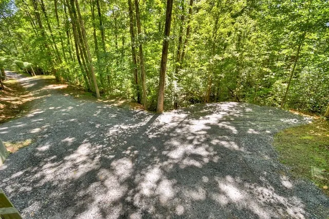 a view of a yard with plants and trees