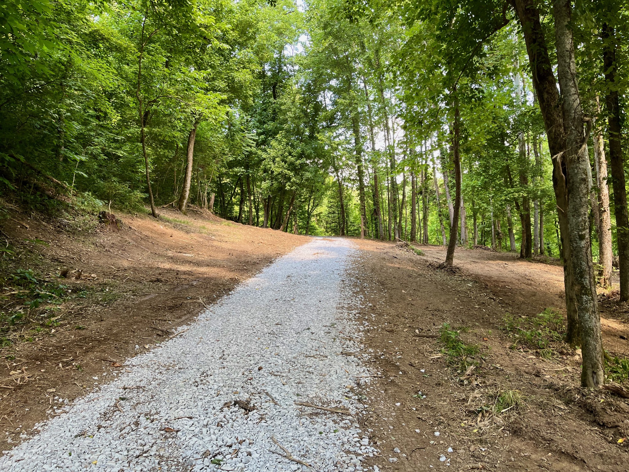 135 Dillehay Hollow Road Pleasant Shade, TN 37145 - Photo 26 of 47