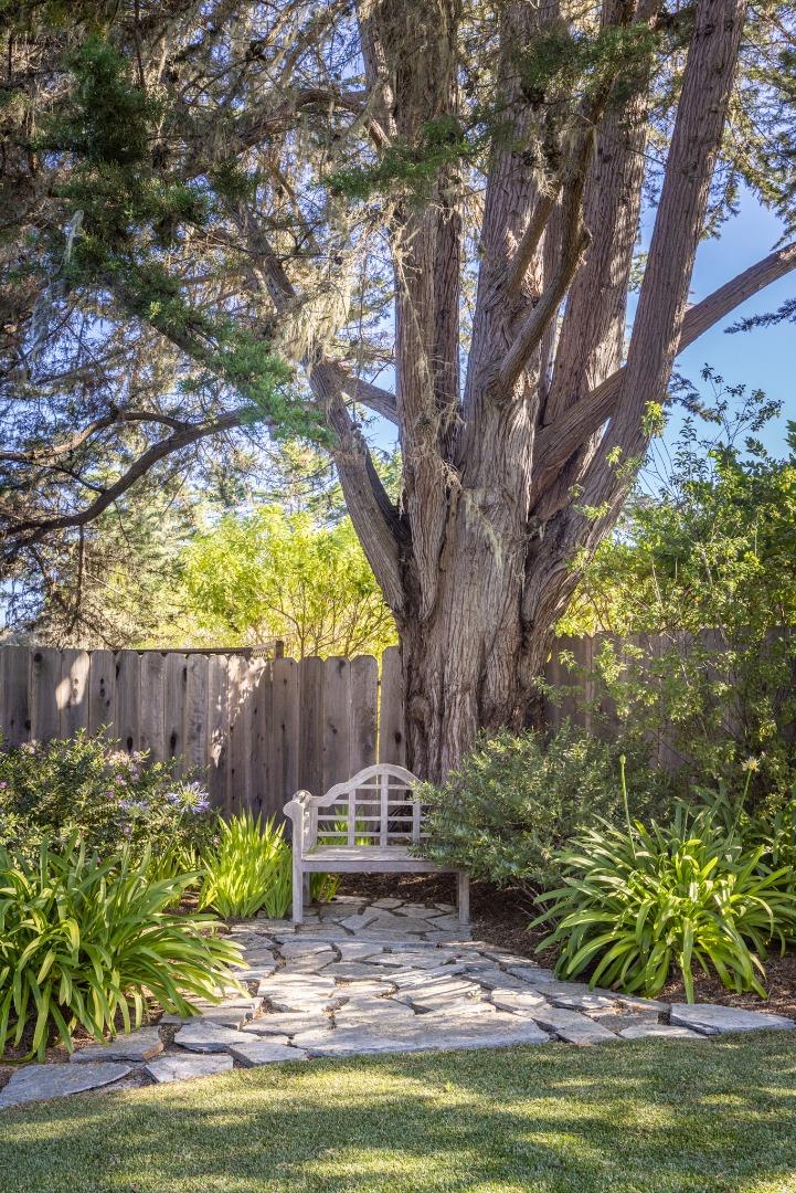 1155 Lookout Road Pebble Beach, CA 93953 - Photo 7 of 33 a view of a garden with a tree