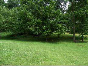1049 Lebanon Road Kingsport, TN 37663 - Photo 5 of 9 Photo 5