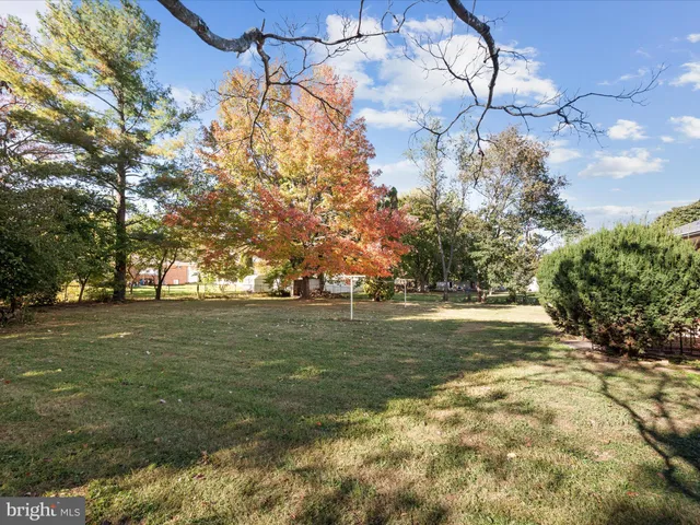 a view of a wooden house with a large tree and a yard