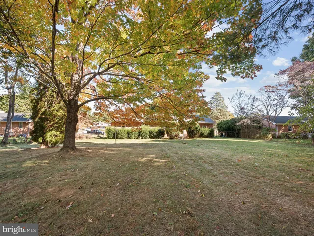 a view of a house with a yard and potted plants