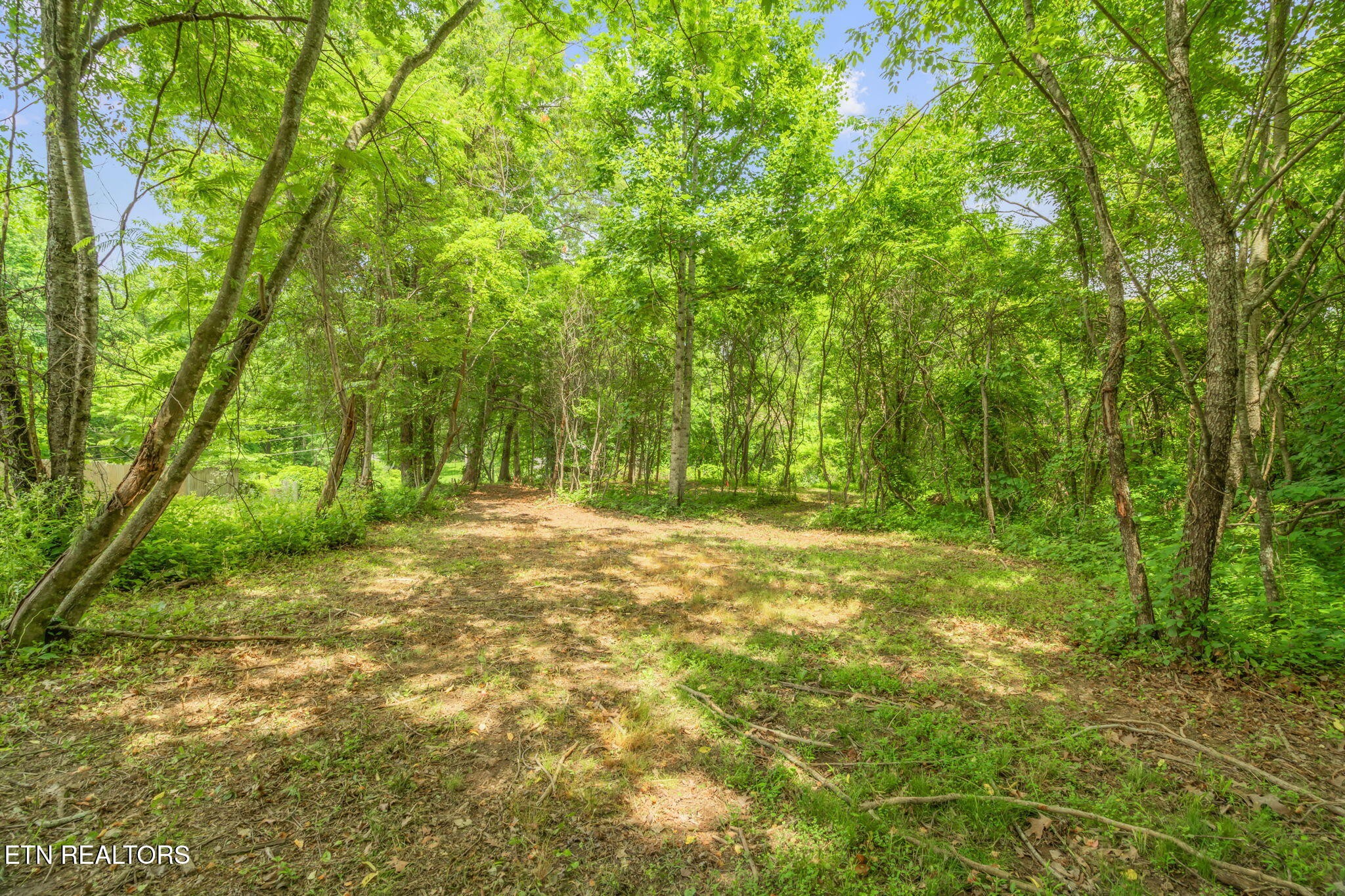 2 Black Oak Road Clinton, TN 37716 - Photo 2 of 16 Gallery Image 2