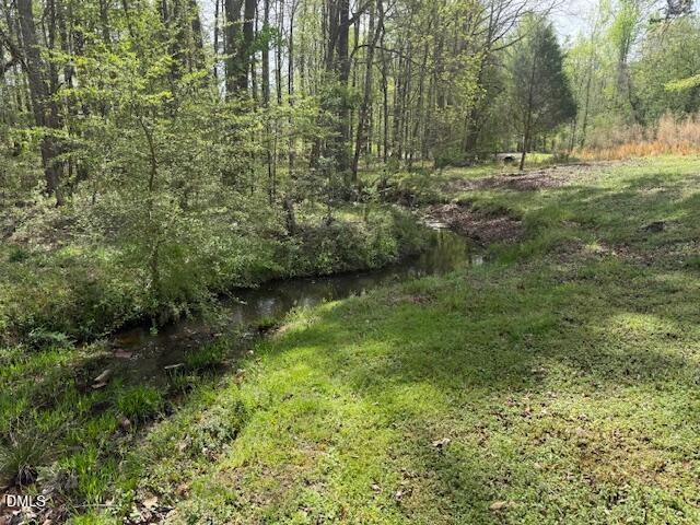 2153 Hurdle Mills Road Roxboro, NC 27574 - Photo 33 of 35 a view of a lush green forest with lots of trees