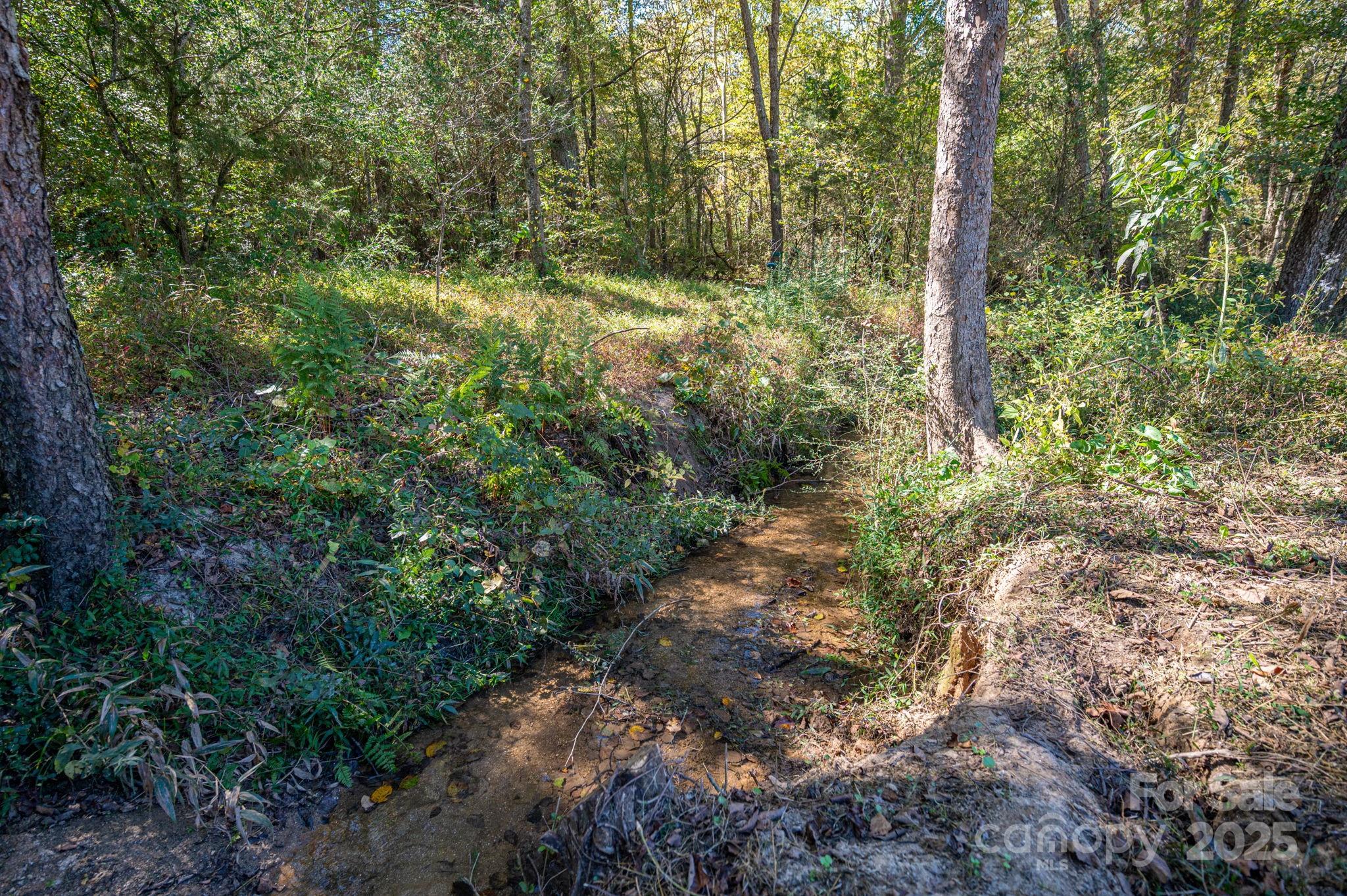 3597 Ray Danner Road Maiden, NC 28650 - Photo 6 of 31