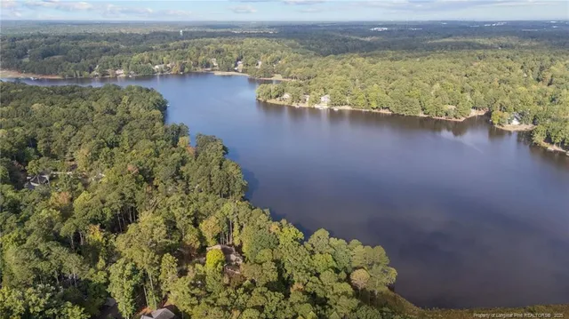 an aerial view of residential houses with outdoor space and river