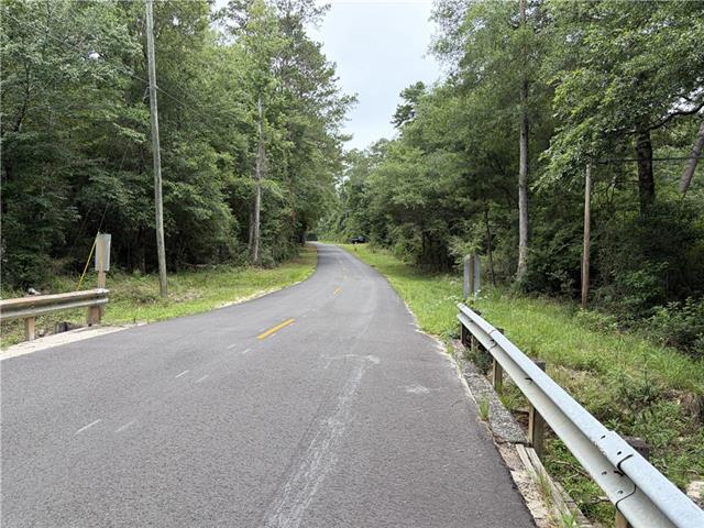 0 Thigpen Road Franklinton, LA 70438 - Photo 3 of 34