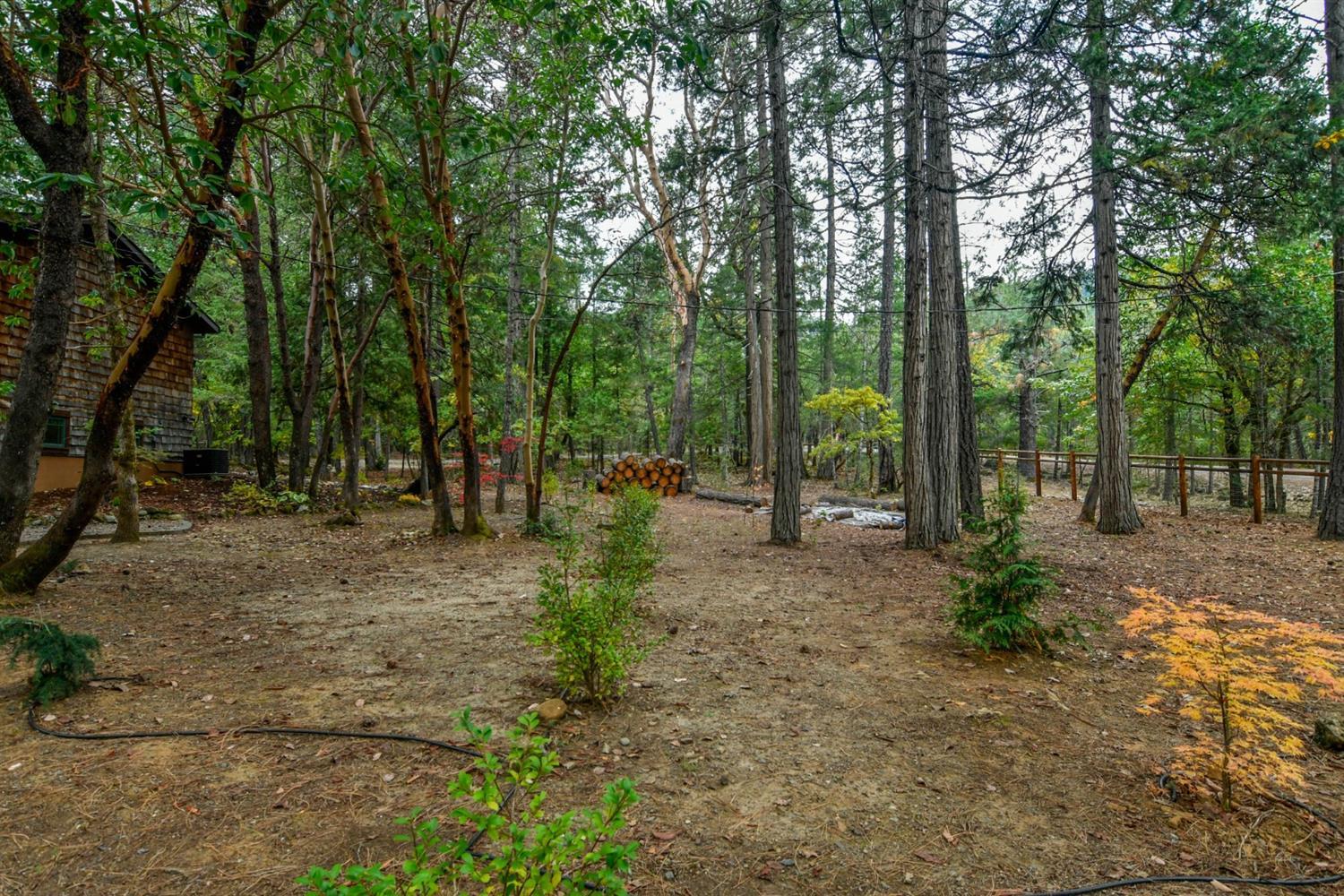 2275 Queens Branch Road Rogue River, OR 97537 - Photo 22 of 35 Additional Photo