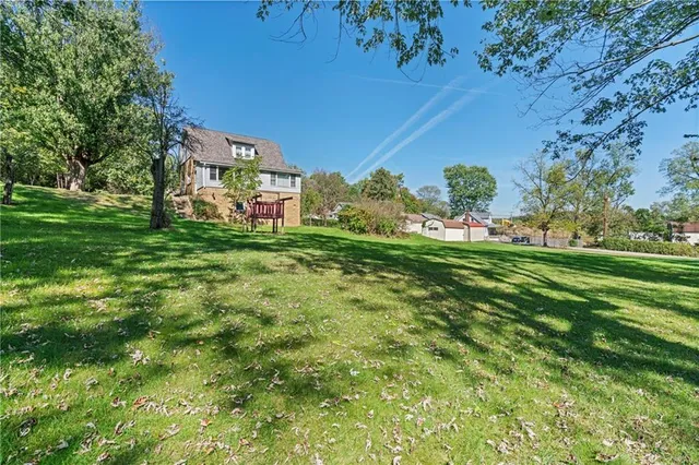 a view of a big yard with plants and large trees