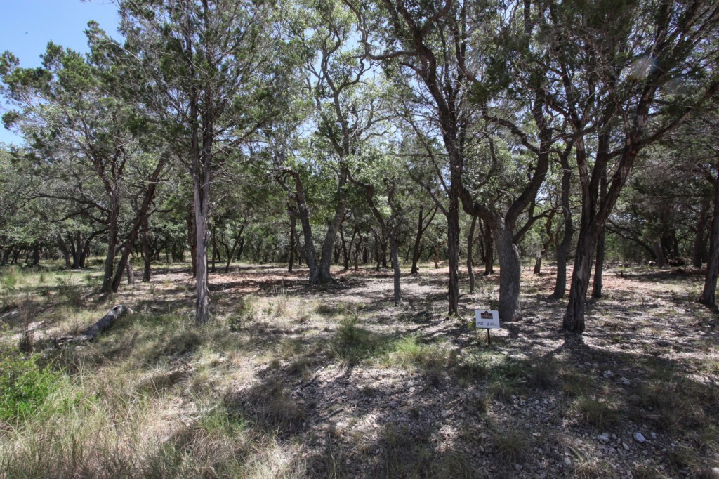 192 Emerald Point Cove Wimberley, TX 78676 - Photo 1 of 1 a view of a forest with trees